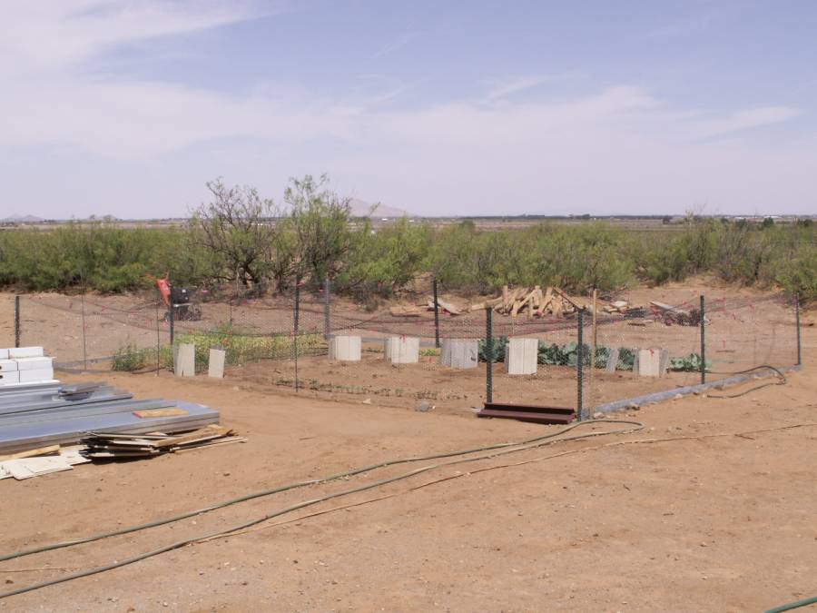 Taken by waterdragon687 at her parents' house in Deming, New Mexico, May 2006 - please do not reproduce without permission