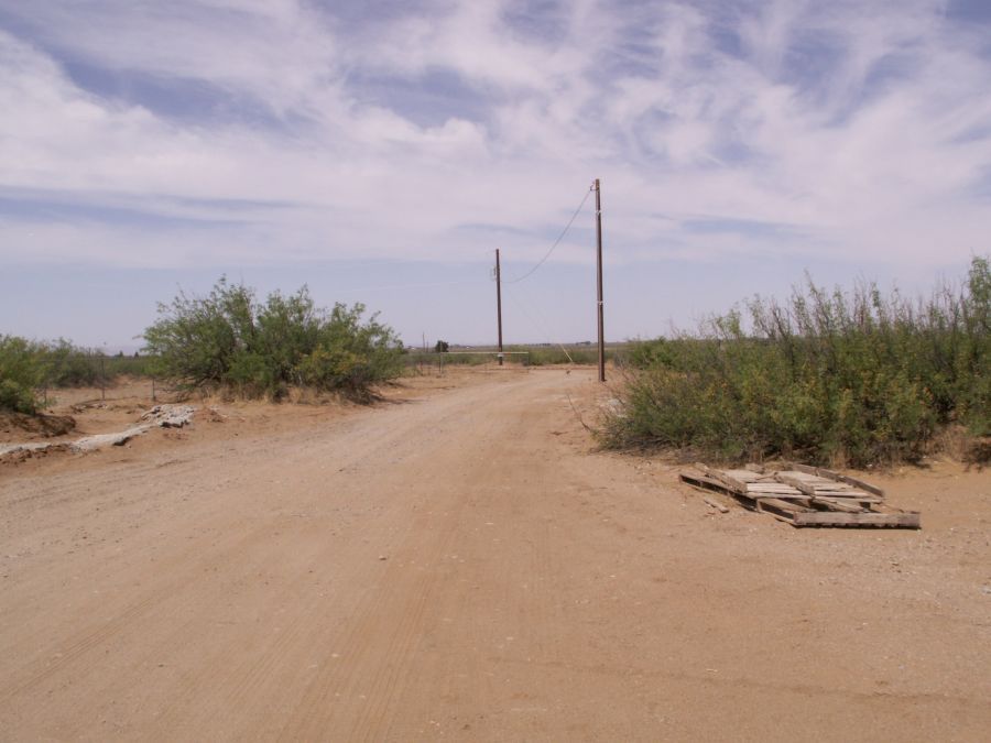 Taken by waterdragon687 at her parents' house in Deming, New Mexico, May 2006 - please do not reproduce without permission