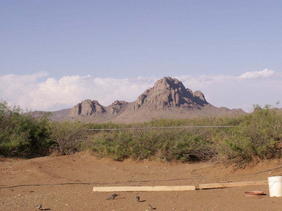 Taken by waterdragon687 on vacation in New Mexico, May 2006 - please do not reproduce without permission