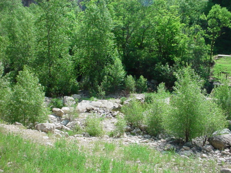 Taken by waterdragon687 in the vicinity of Spearfish, South Dakota, June 2005 - please do not reproduce without permission