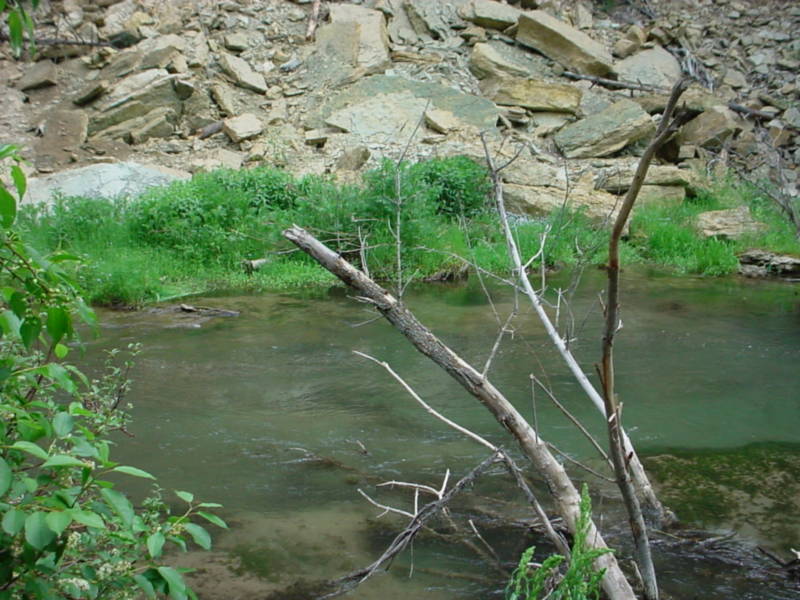 Taken by waterdragon687 in the vicinity of Spearfish, South Dakota, June 2005 - please do not reproduce without permission