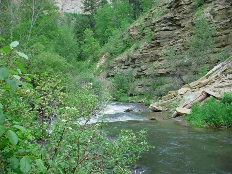 Taken by waterdragon687 in the vicinity of Spearfish, South Dakota, June 2005 - please do not reproduce without permission