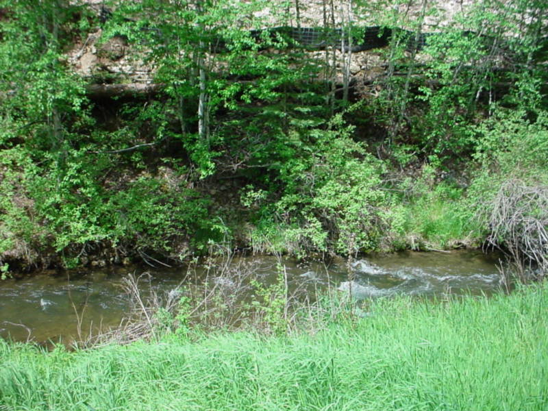Taken by waterdragon687 in the vicinity of Spearfish, South Dakota, June 2005 - please do not reproduce without permission