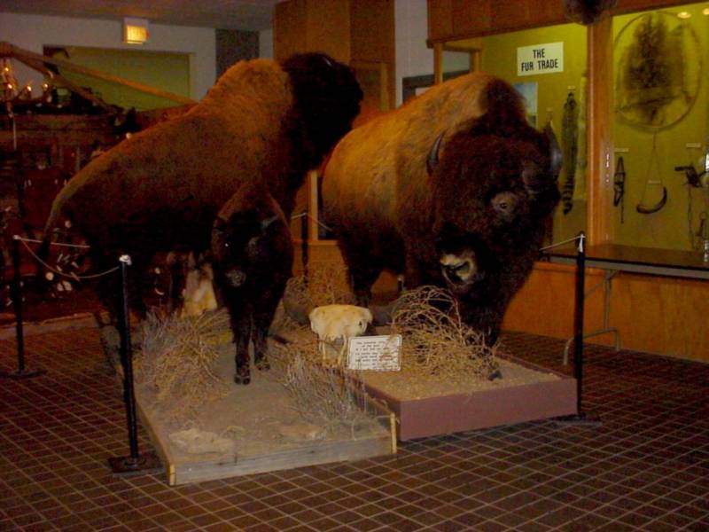 Taken by waterdragon687 in the vicinity of Spearfish, South Dakota, June 2005 - please do not reproduce without permission