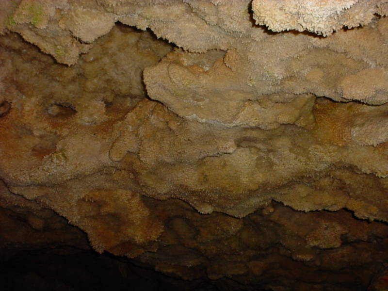 Taken by waterdragon687 in the vicinity of Spearfish, South Dakota, June 2005 - please do not reproduce without permission