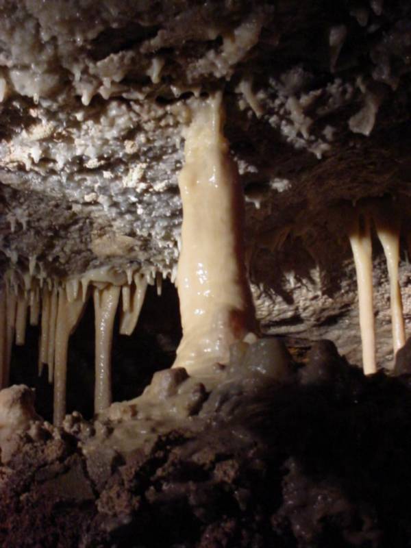 Taken by waterdragon687 in the vicinity of Spearfish, South Dakota, June 2005 - please do not reproduce without permission