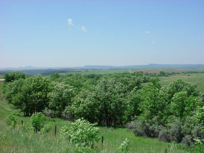 Taken by waterdragon687 in the vicinity of Spearfish, South Dakota, June 2005 - please do not reproduce without permission