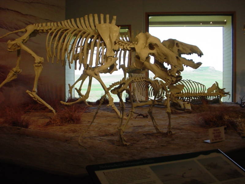 Taken by waterdragon687 in the vicinity of Spearfish, South Dakota, June 2005 - please do not reproduce without permission