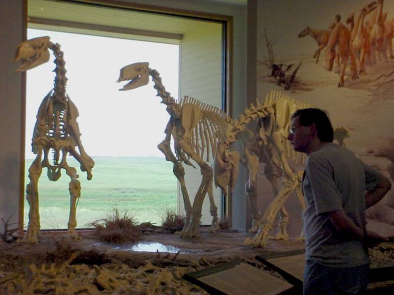 Taken by waterdragon687 in the vicinity of Spearfish, South Dakota, June 2005 - please do not reproduce without permission